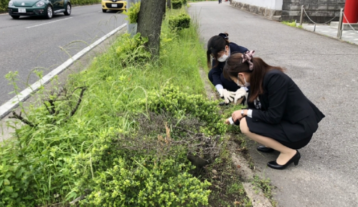 定期的な清掃活動の画像